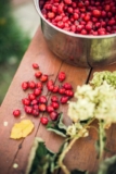 Willkommen, Hagebuttensaison!  – Die Zero Waste Family®