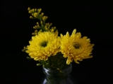 Die schönsten Herbstblumen in der Vase
